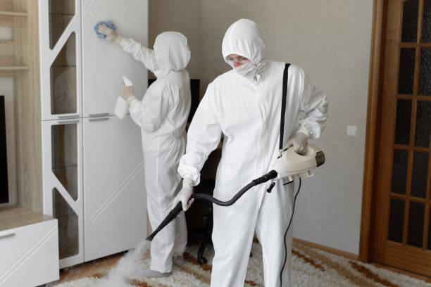 Best Residential Mold Removal  in Grayvle, IL